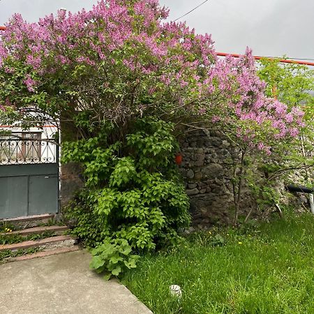 Soso Burduli's Guesthouse Kazbegi Extérieur photo