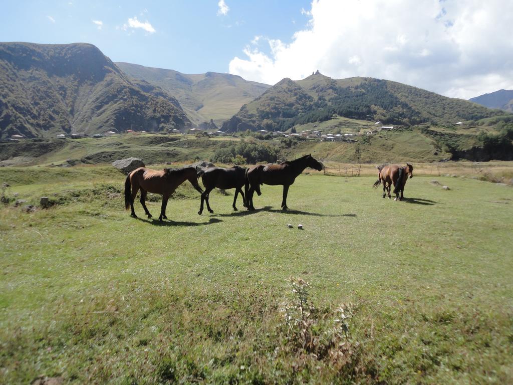 Soso Burduli's Guesthouse Kazbegi Extérieur photo